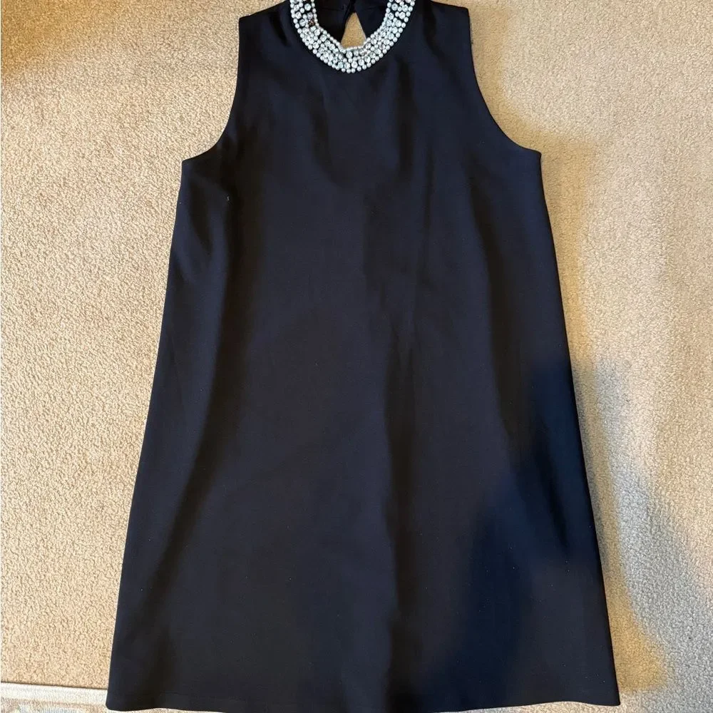 Black Sleeveless Dress with Embellished Collar